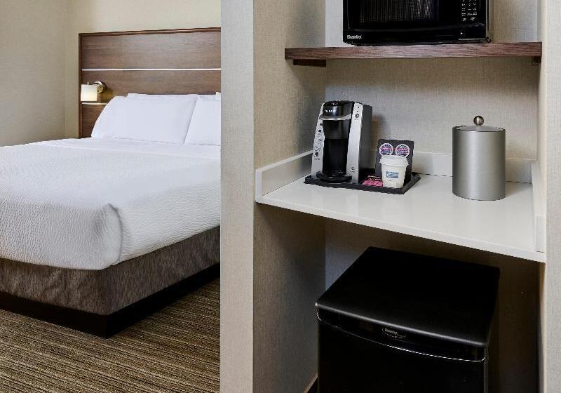 سوییت, Holiday Inn Express & Suites   Brantford, An Ihg