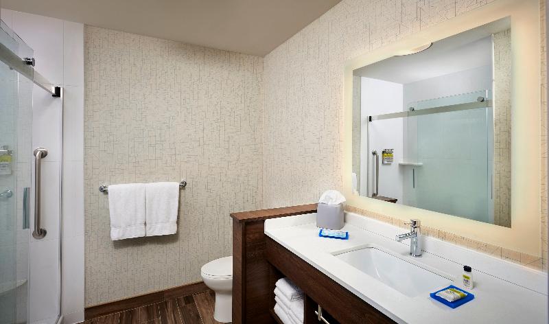 سوئیت با تخت بزرگ, Holiday Inn Express & Suites   Brantford, An Ihg