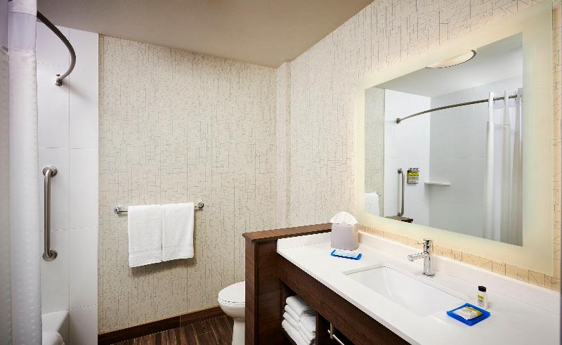 سوئیت با تخت بزرگ, Holiday Inn Express & Suites   Brantford, An Ihg