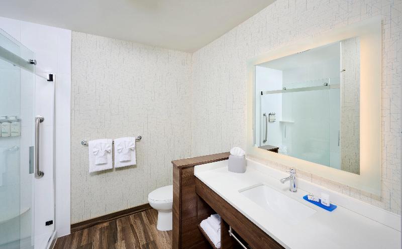 سوئیت با تخت بزرگ, Holiday Inn Express & Suites   Brantford, An Ihg