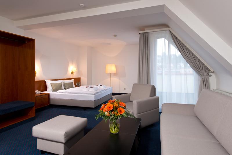 اتاق استاندارد برای معلولان, Holiday Inn Express & Suites   Brantford, An Ihg