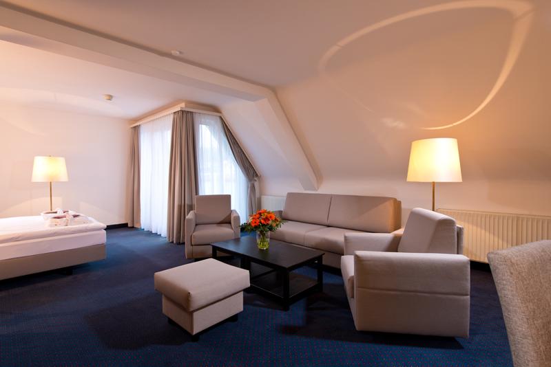 اتاق استاندارد برای معلولان, Holiday Inn Express & Suites   Brantford, An Ihg