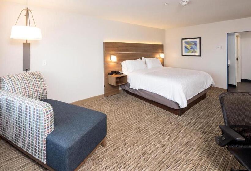 اتاق استاندارد با تخت بزرگ, Holiday Inn Express & Suites   Kalamazoo West, An Ihg
