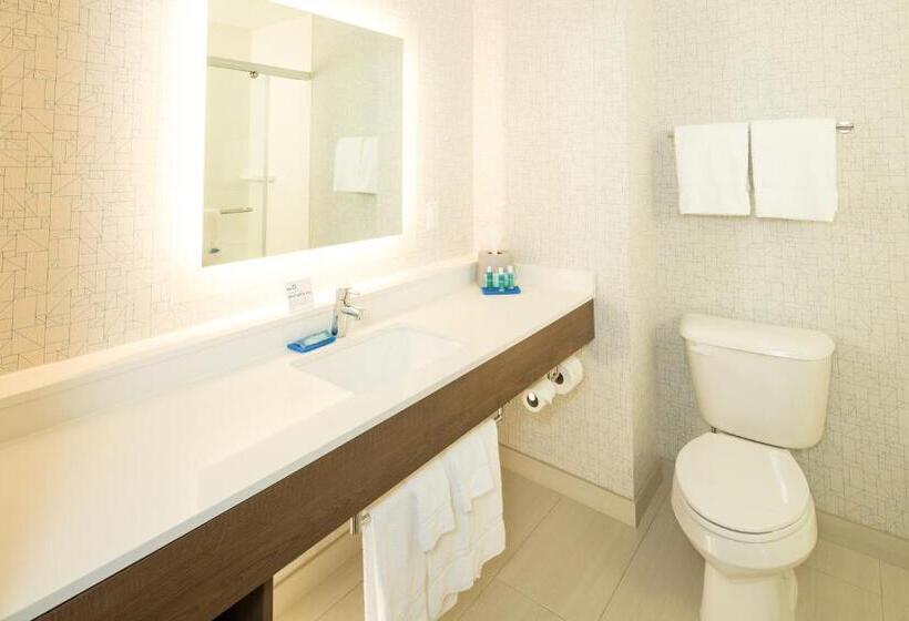 اتاق استاندارد برای معلولان, Holiday Inn Express & Suites   Kalamazoo West, An Ihg