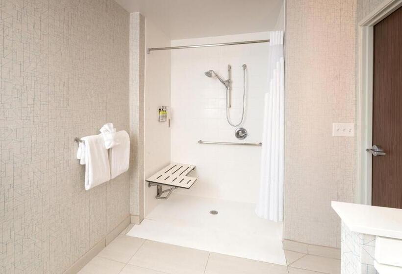 سوئیت برای معلولان, Holiday Inn Express & Suites   Kalamazoo West, An Ihg