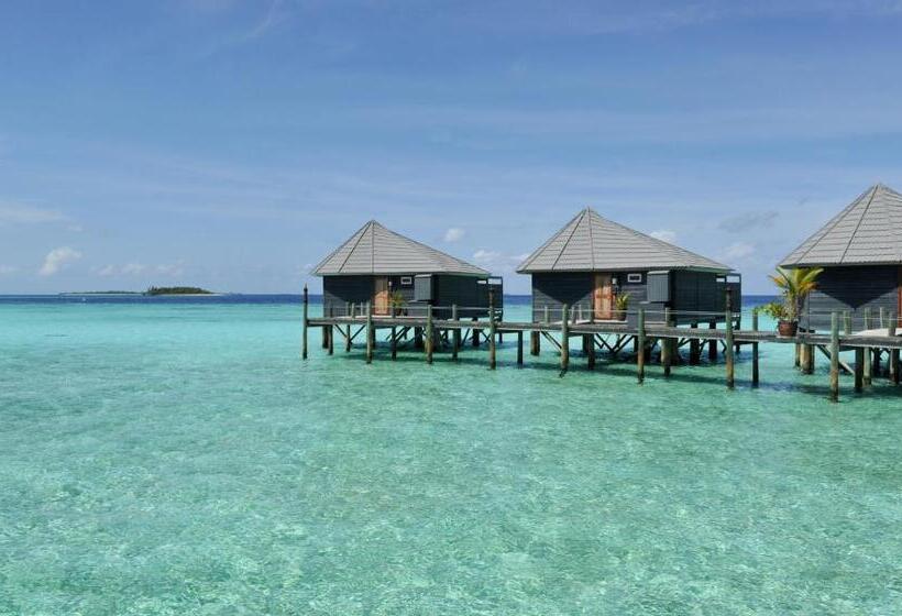 ویلای 1 خوابه, Komandoo Island Resort & Spa