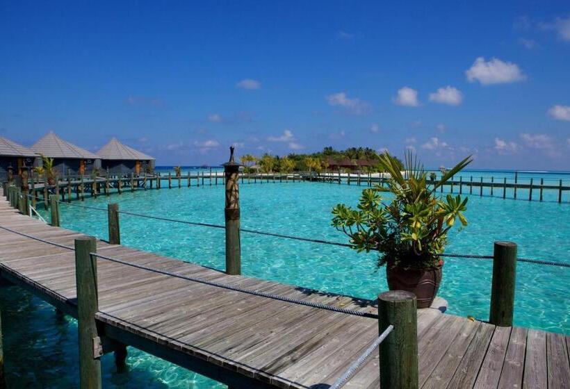 ویلای 1 خوابه, Komandoo Island Resort & Spa