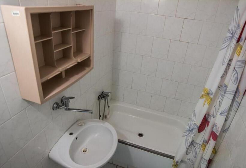 اتاق استاندارد با سرویس بهداشتی مشترک, Hostel Blanice