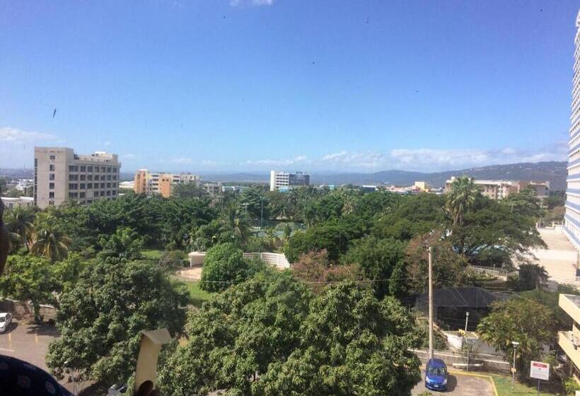 1 Bedroom Penthouse Apartment, Malia S New Kgn Apartment
