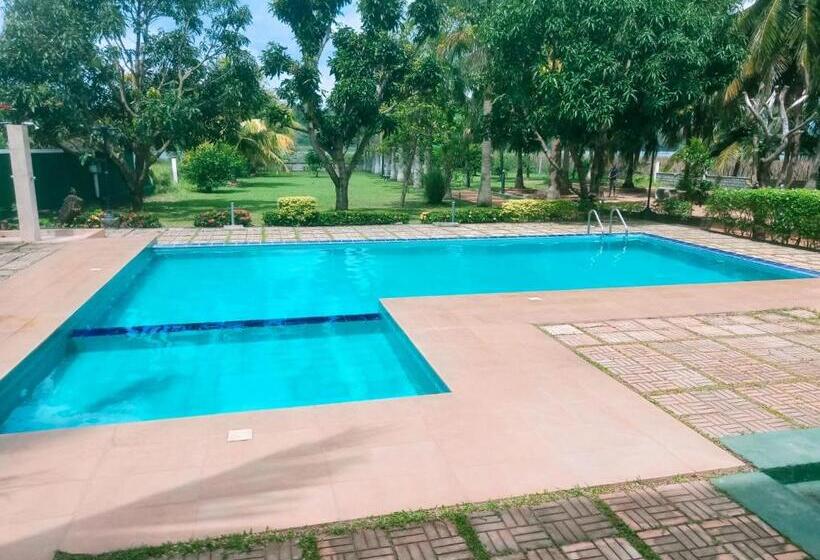 اتاق لوکس, Nilambara Lake View