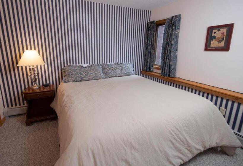 آپارتمان 1 خوابه, Okemo Mountain Lodging