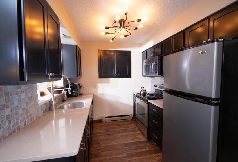 آپارتمان 2 خوابه, Okemo Mountain Lodging