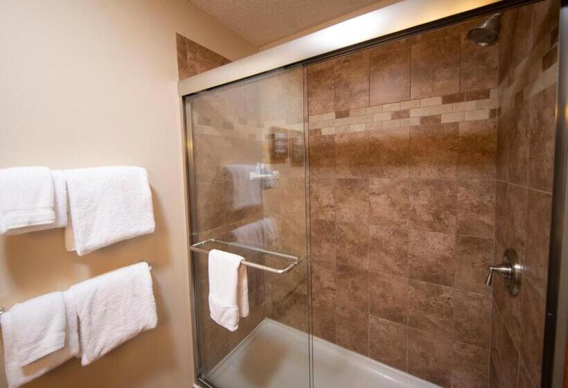 آپارتمان 2 خوابه, Okemo Mountain Lodging