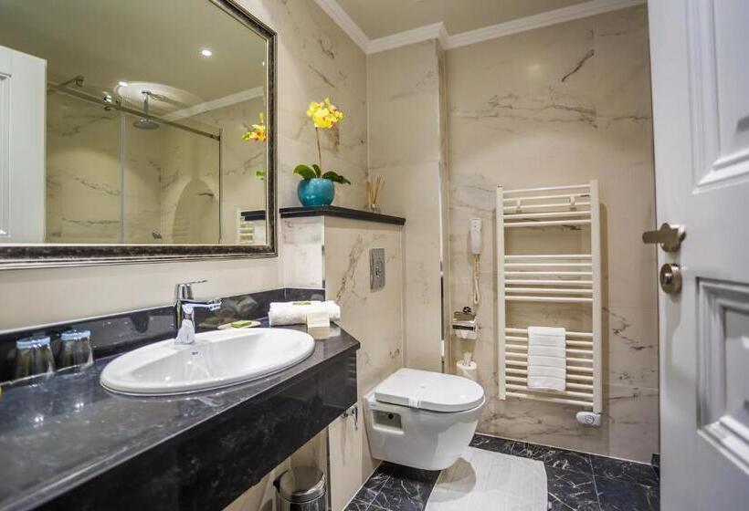 اتاق استاندارد با بالکن, Residence Promenade