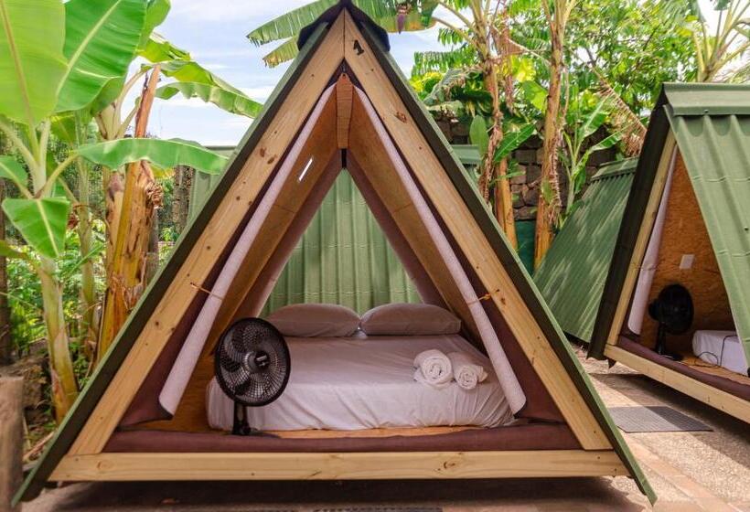 چادر با خدمات رفاهی استاندارد, Clan.destino Hostel