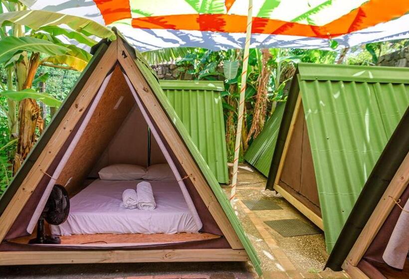 چادر با خدمات رفاهی استاندارد, Clan.destino Hostel