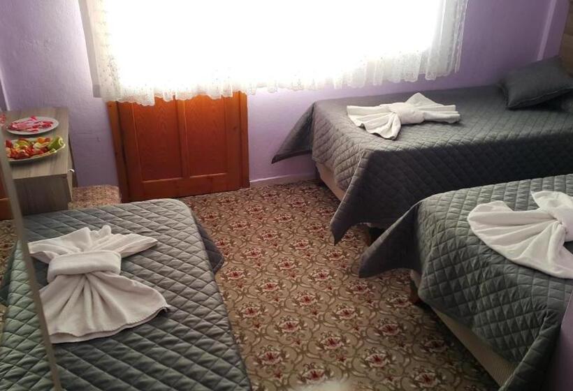 اتاق استاندارد سه تخته با بالکن, Grand Yayla