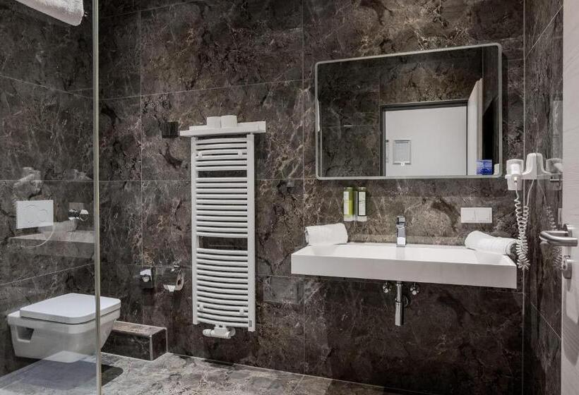 اتاق سوپریور, Rheincity Hotel & Boardinghouse