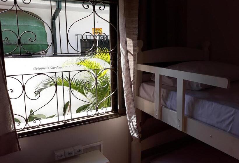 تختخواب در اتاق مشترک, Casa Beatles Hostel Bauru