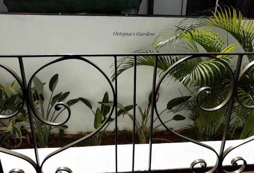 تختخواب در اتاق مشترک, Casa Beatles Hostel Bauru