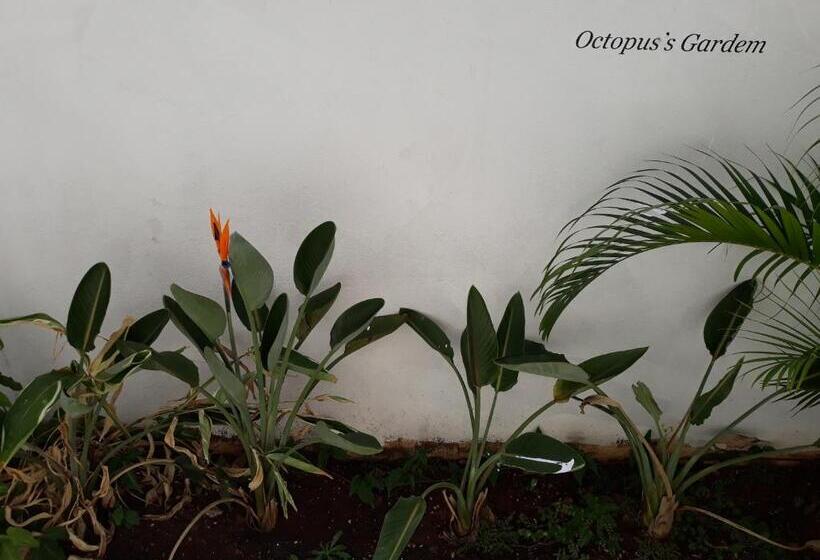 تختخواب در اتاق مشترک, Casa Beatles Hostel Bauru