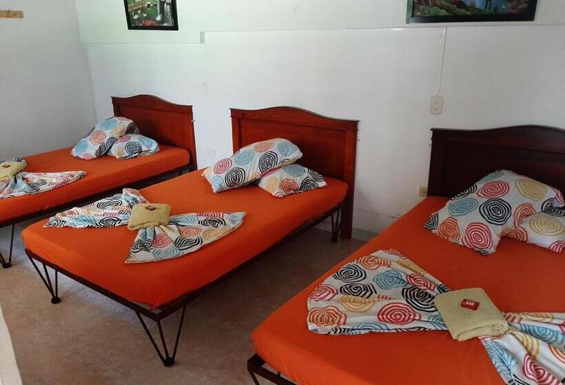 اتاق استاندارد سه نفره, Andaluz