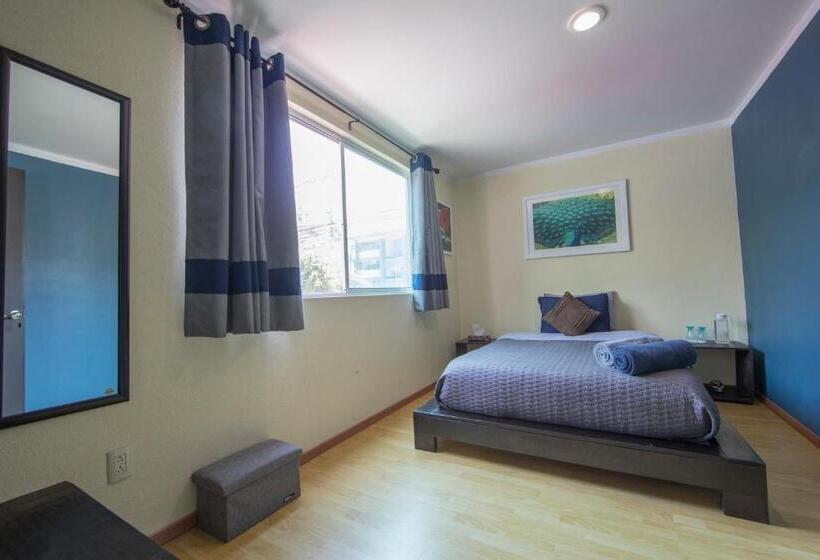 اتاق استاندارد با سرویس بهداشتی مشترک, Casa Hidalgo