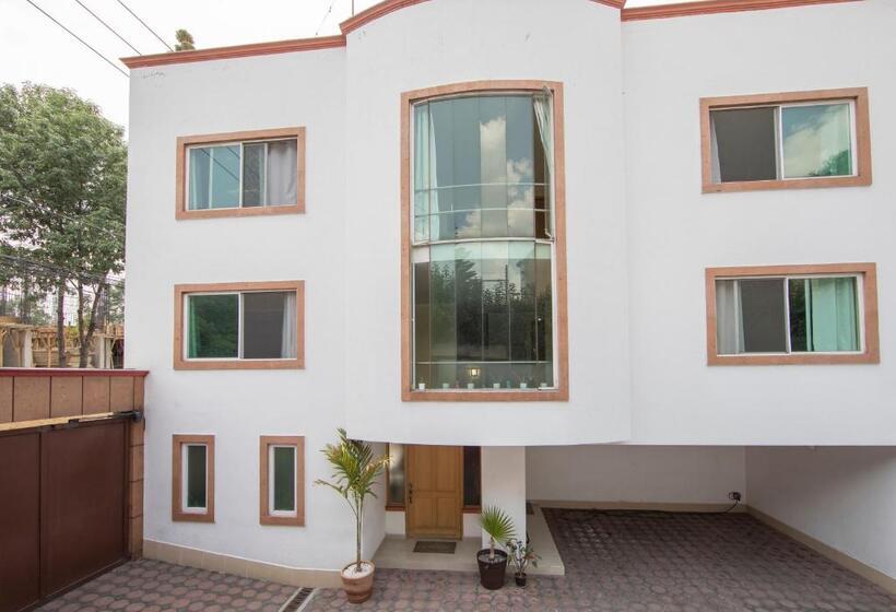 اتاق استاندارد با چشم‌انداز باغ, Casa Hidalgo