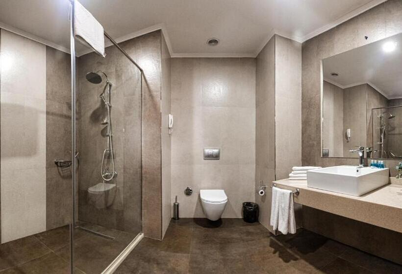 اتاق استاندارد, Sky Hotel Baku