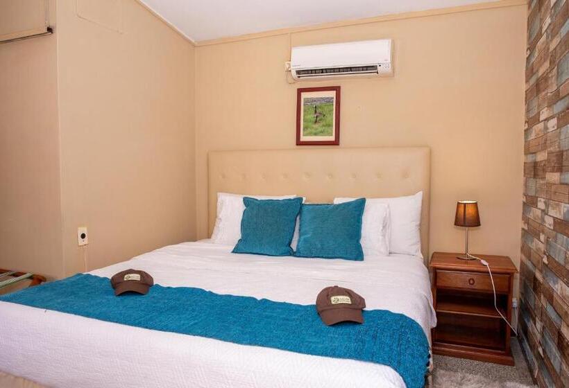 اتاق استاندارد, Posada De Campo San Cono