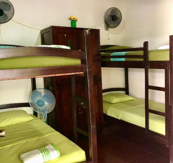 تختخواب در اتاق مشترک, Casa Lula León Hostal