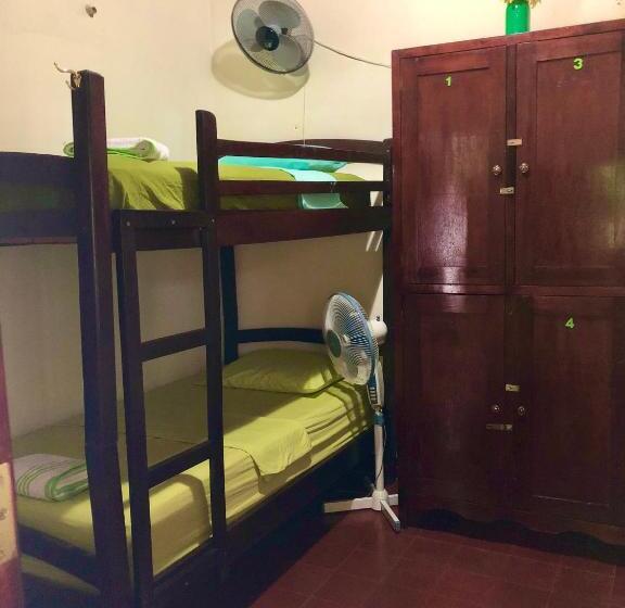 تختخواب در اتاق مشترک, Casa Lula León Hostal