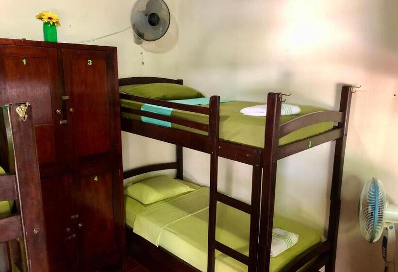 تختخواب در اتاق مشترک, Casa Lula León Hostal