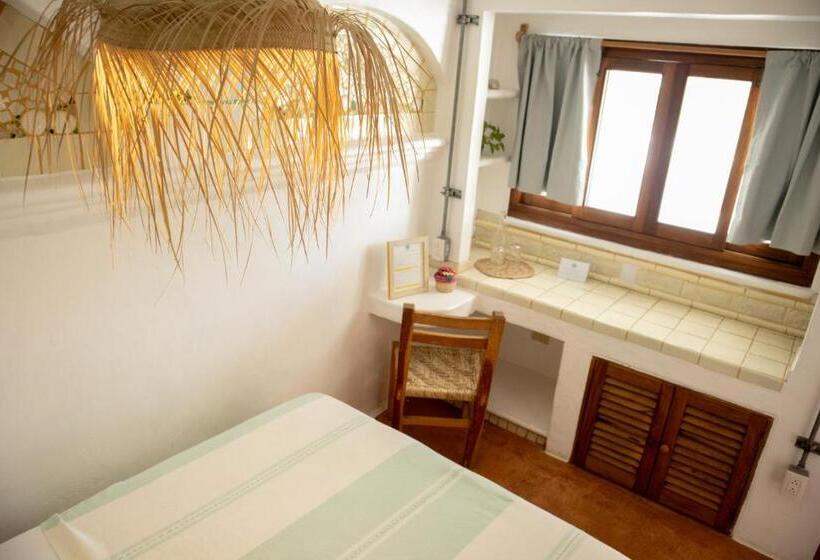 استودیوی استاندارد, Sayulita Central