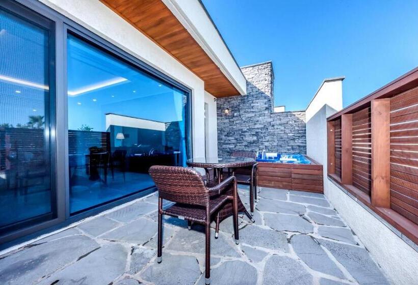 اتاق اکونومی, Arts Spa&poolvilla