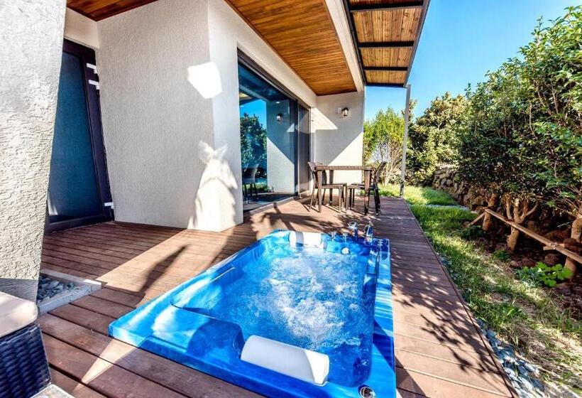 اتاق استاندارد, Arts Spa&poolvilla