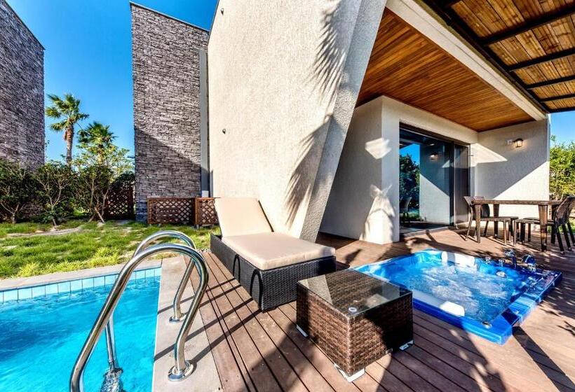 اتاق سوپریور, Arts Spa&poolvilla