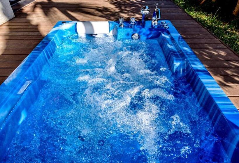 اتاق سوپریور, Arts Spa&poolvilla