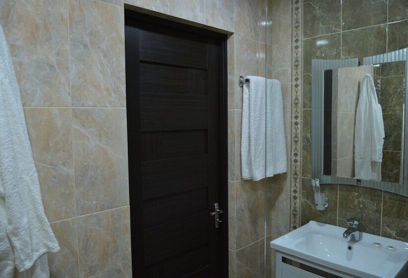 اتاق استاندارد, Tomu S