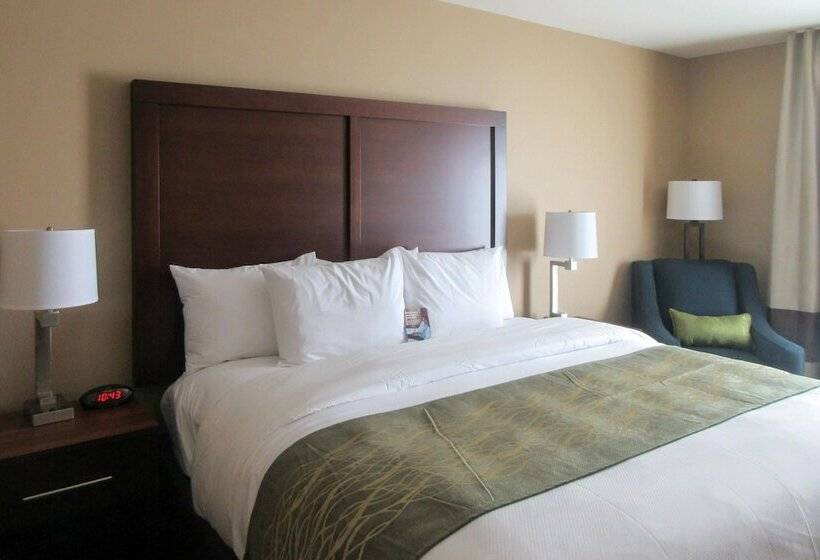 اتاق استاندارد با تخت دوبل, Comfort Inn & Suites  Harrisburg Airport  Hershey South
