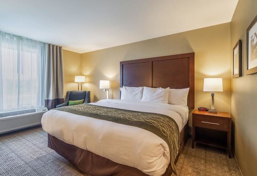 اتاق استاندارد با تخت دوبل, Comfort Inn & Suites  Harrisburg Airport  Hershey South