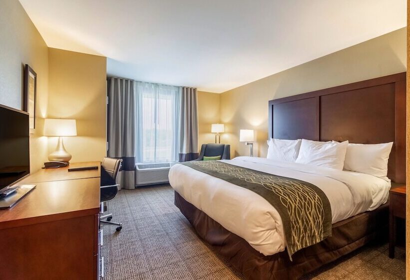 اتاق استاندارد با تخت دوبل برای معلولان, Comfort Inn & Suites  Harrisburg Airport  Hershey South