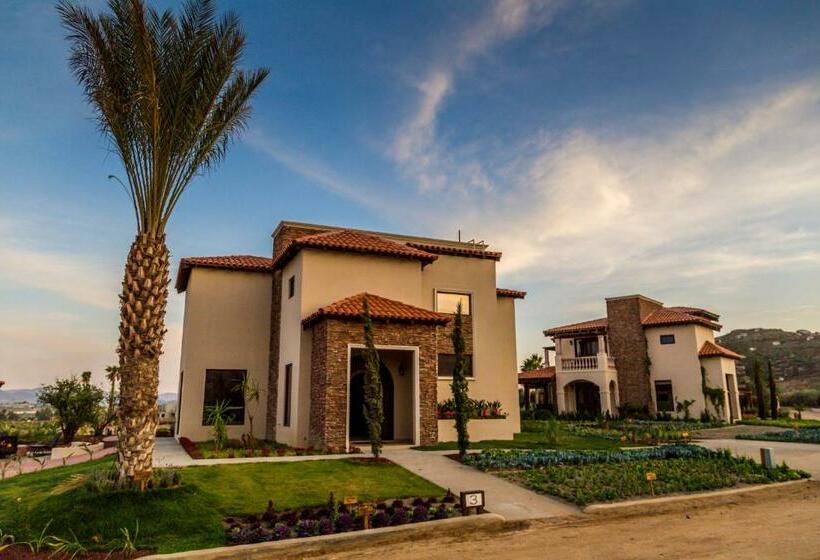 سوییت جونیور, El Cielo Resort