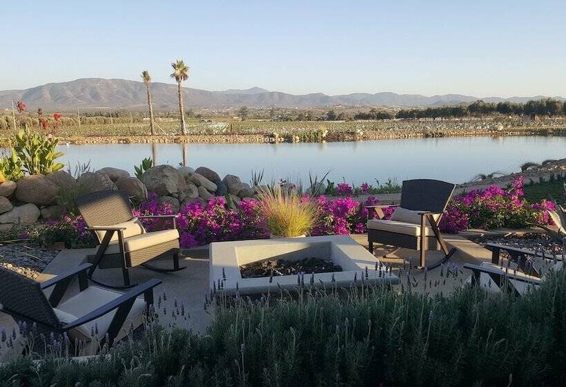 اتاق استاندارد, El Cielo Resort