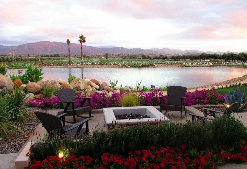 اتاق استاندارد, El Cielo Resort