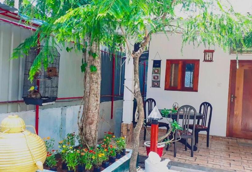 اتاق اکونومی, Villa 67