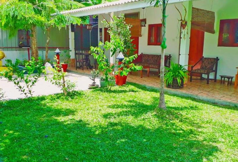 اتاق اکونومی, Villa 67