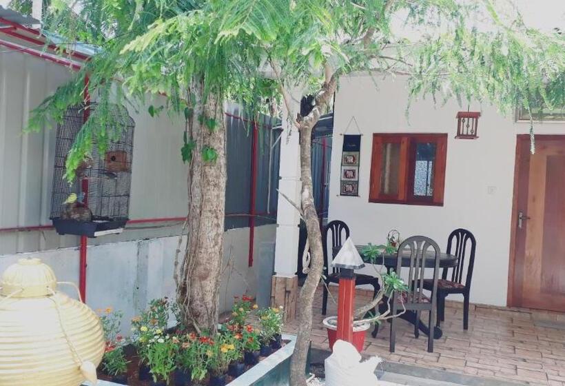 اتاق اکونومی, Villa 67