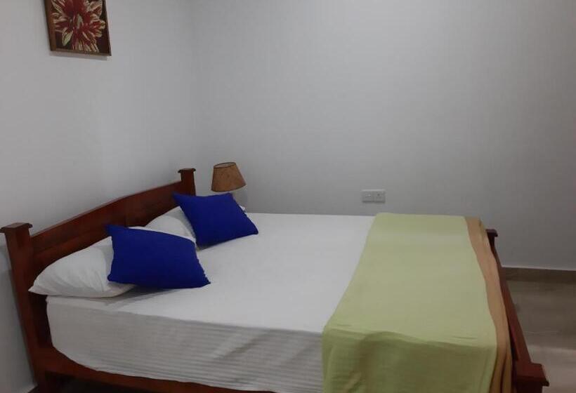 اتاق لوکس, Villa 67