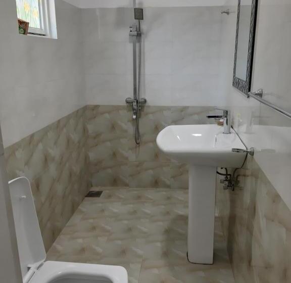 اتاق اکونومی, Villa 67